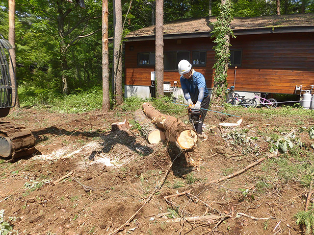 logging-case_e01