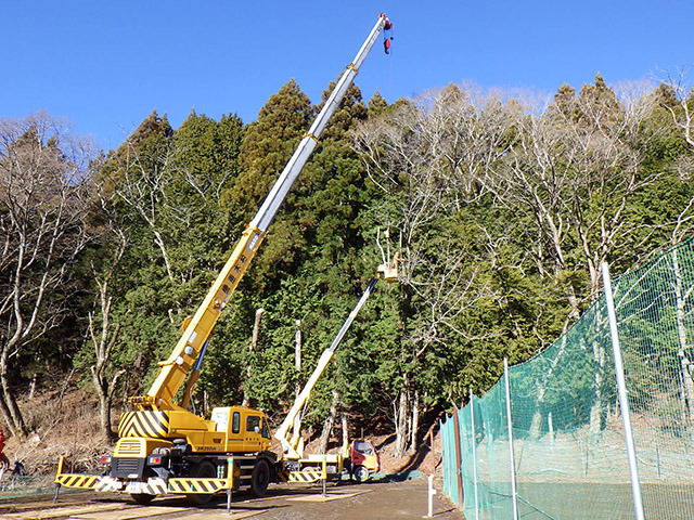 logging-case_e06