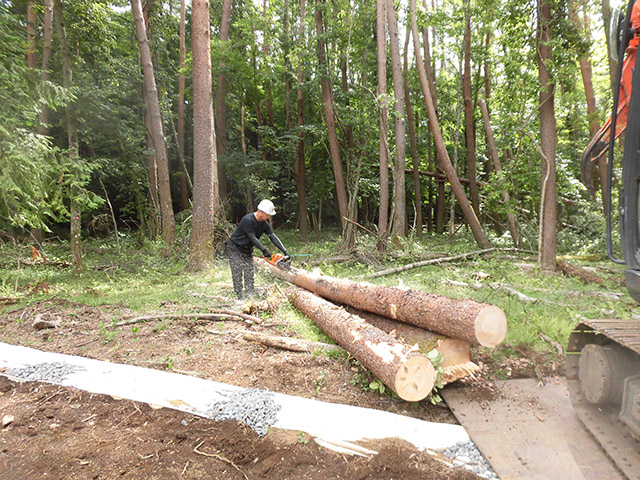 logging-case_s06